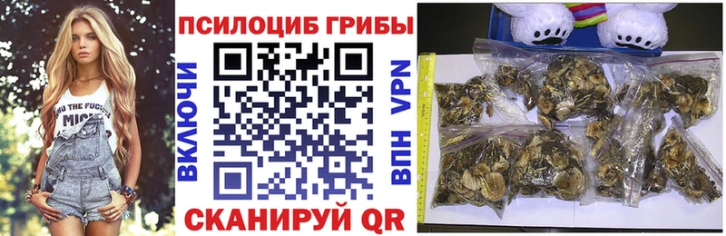 Галлюциногенные грибы GOLDEN TEACHER  Купить  Агидель